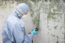 Best HVAC Mold Inspection and Cleaning  in Shell Valley, ND